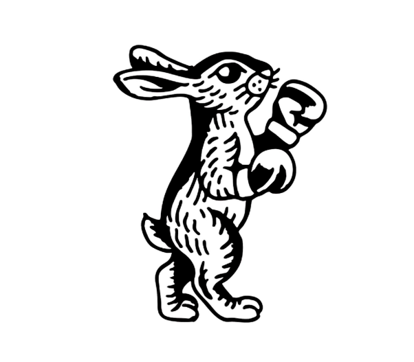 Boxing Bunny