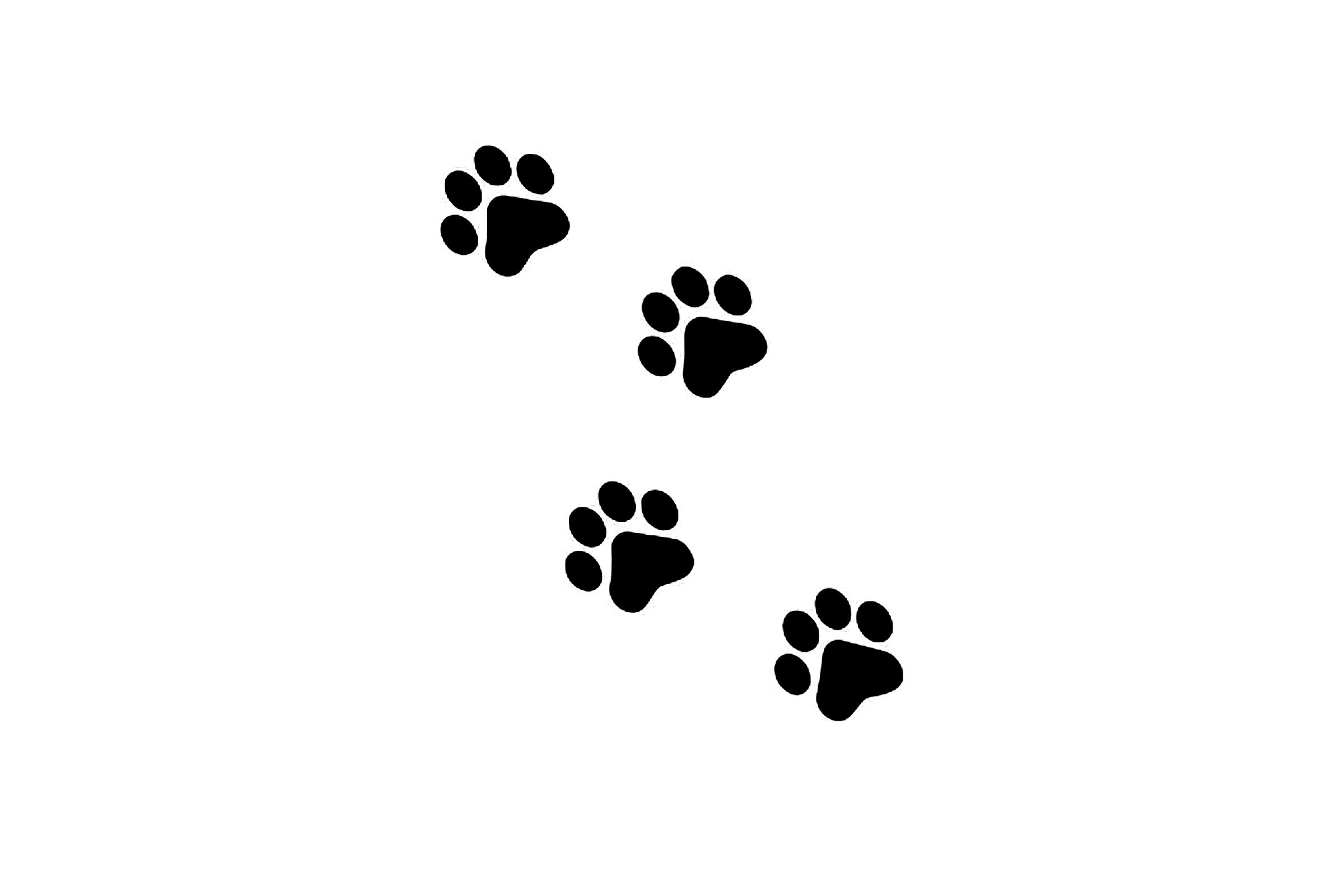 Dog Paw Tattoo