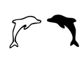 Dolphin Duo