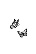 Double Butterfly