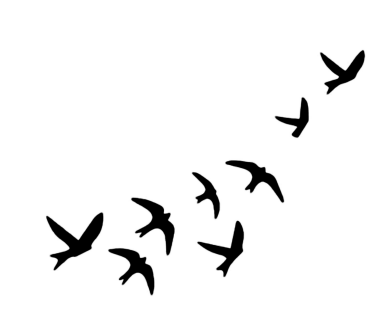 Freedom's Flight