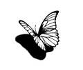 Living Flight