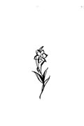 Small Lily flower